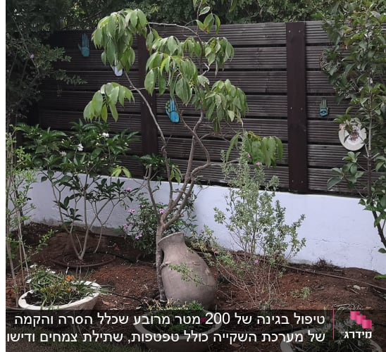 ניקוי גינה, פריסת טפטפות, שתילת שיחים